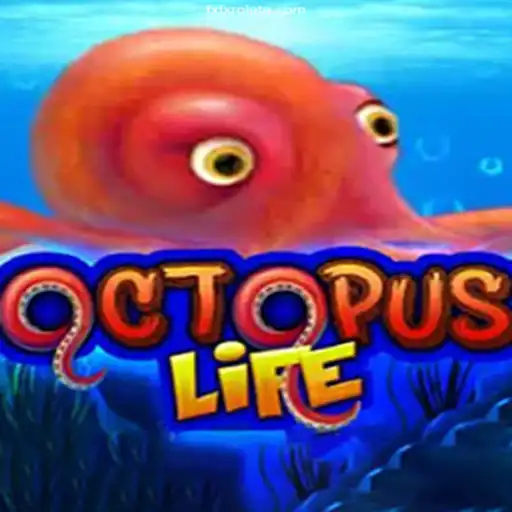 Exploring OctopusLife: A Deep Dive Into FXFX.com Cassino Online